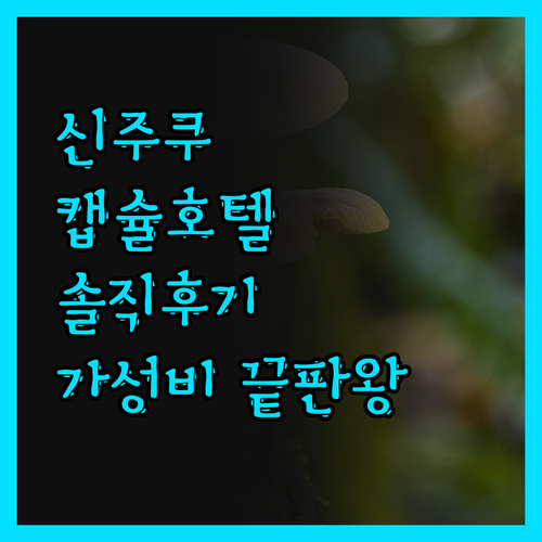 신주쿠 캡슐 호텔, 가성비 끝판왕? 