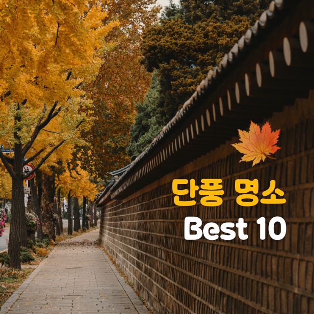 단풍명소