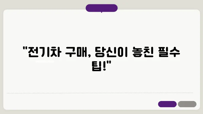 2025년 보조금 없을 전기차 구매를 위한 정보