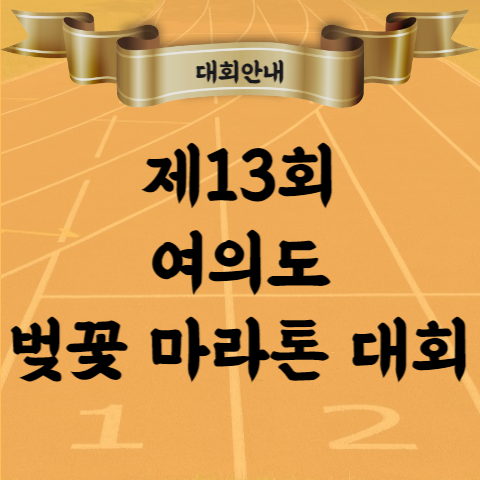 제13회 여의도 벚꽃마라톤 대회 코스 시상 기념품 등