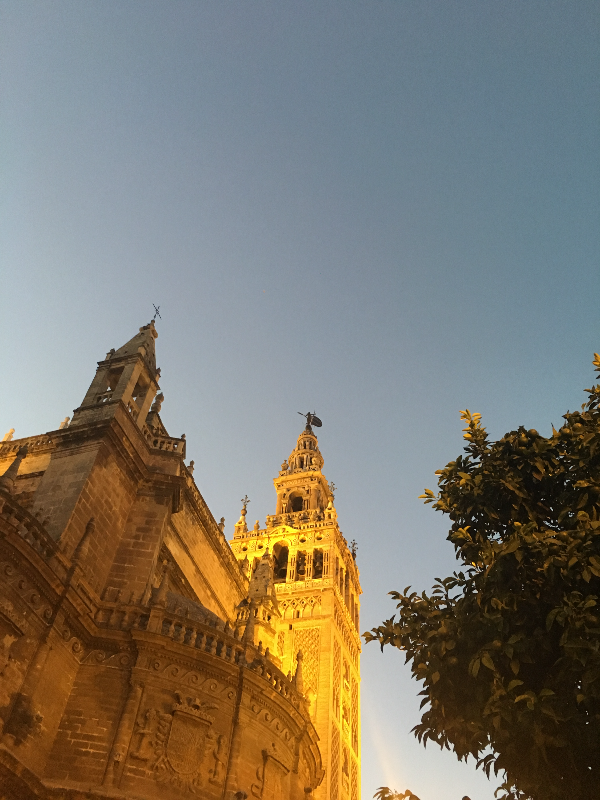 세비야 대성당 (Sevilla Cathedral)