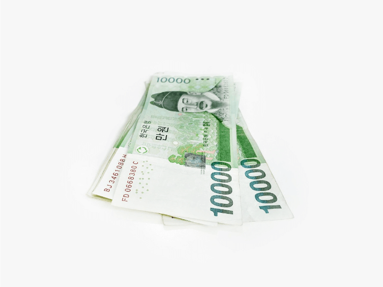 민생회복 소비쿠폰 사용처