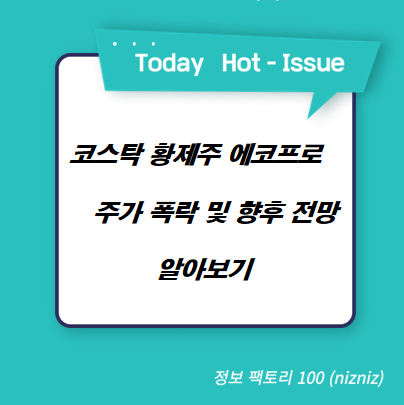  코스탁 황제주 에코프로 주가 폭락 및 향후 전망