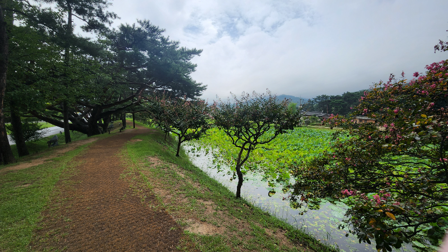 경주서출지