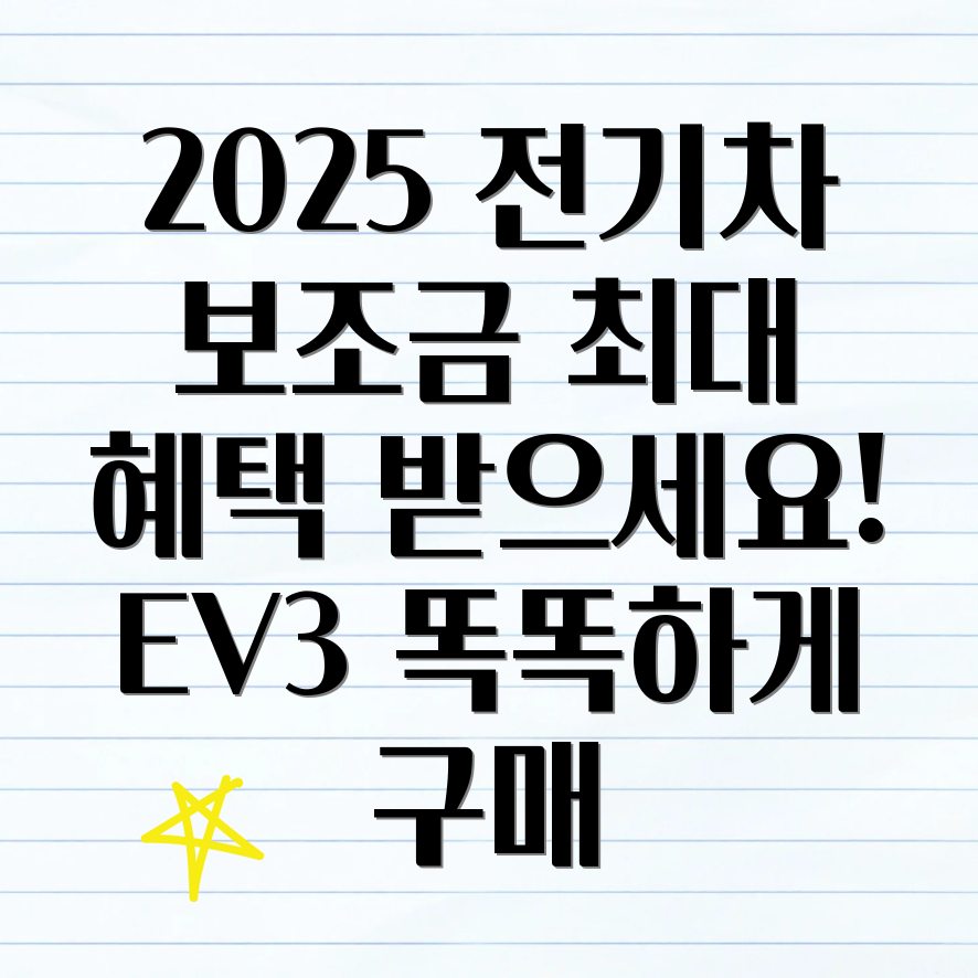 2025 EV3 보조금