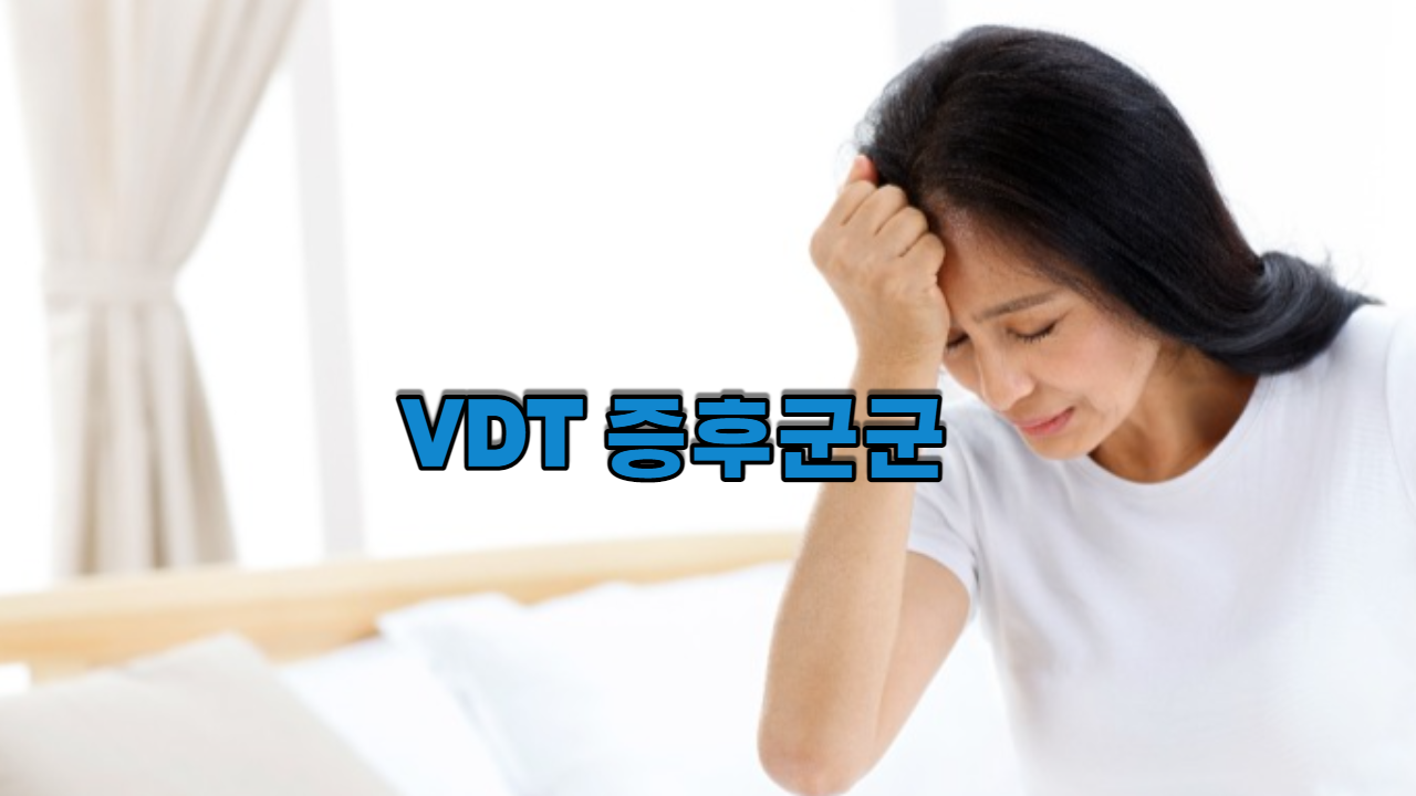  VDT 증후군