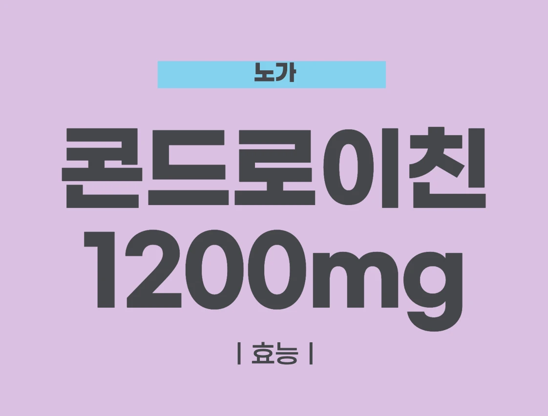 콘드로이친 1200mg