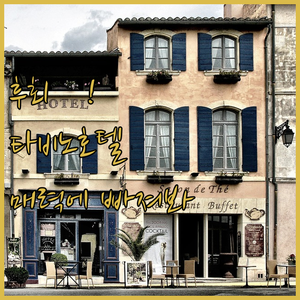 후회는 절대 없을 거예요! 타비노 호