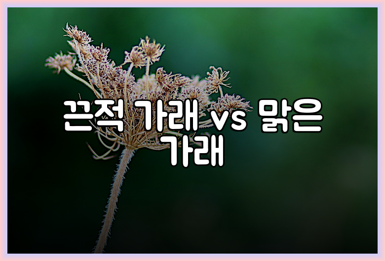 가래 싹! 꿀팁 방출 & 시원한 해방