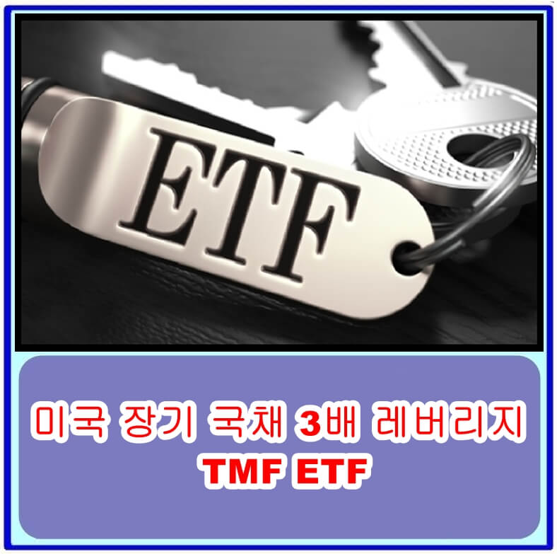 미국 장기 국채 3배 레버리지 TMF ETF
