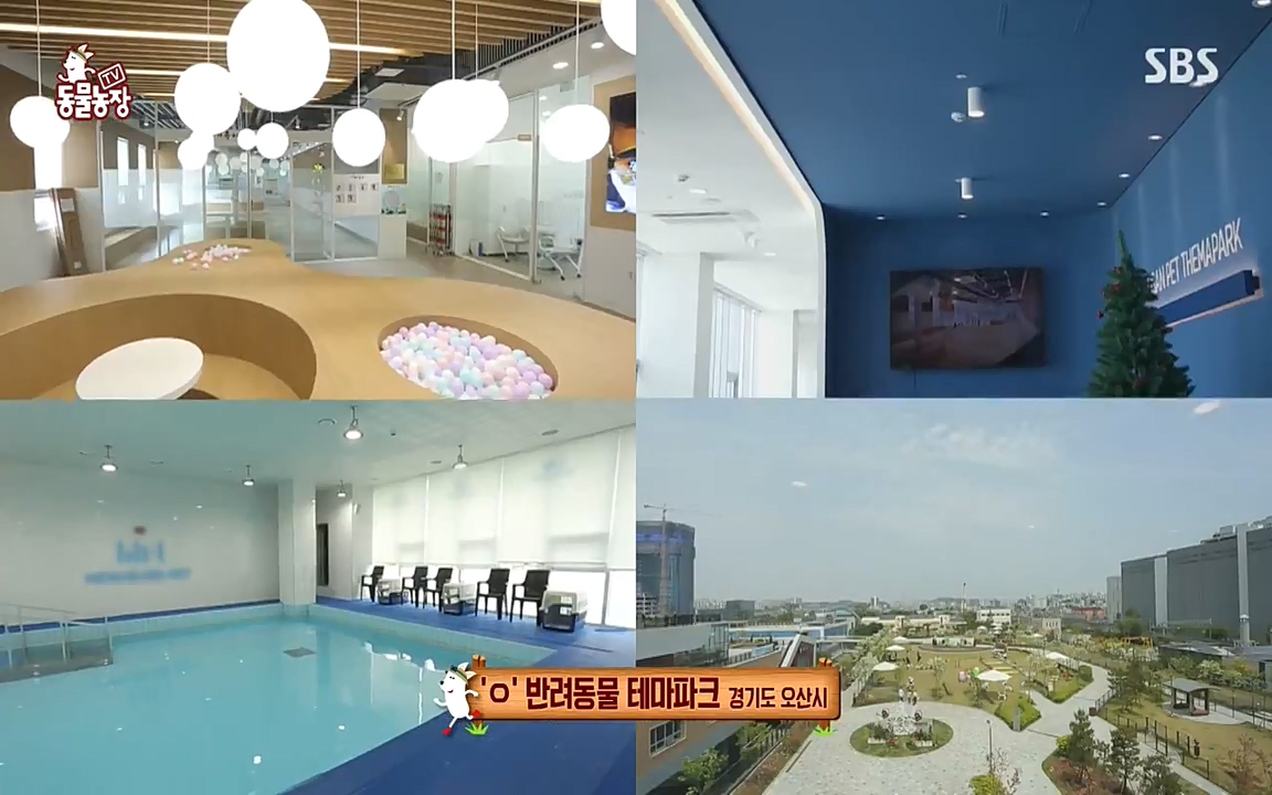 TV 동물농장.E1070.220523p-NEXT.mp4_20220522_175338.056.jpg