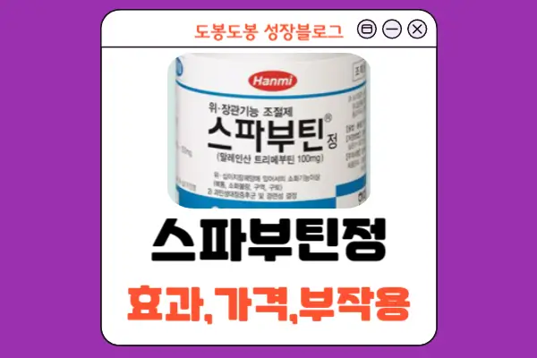 정1981 이미지