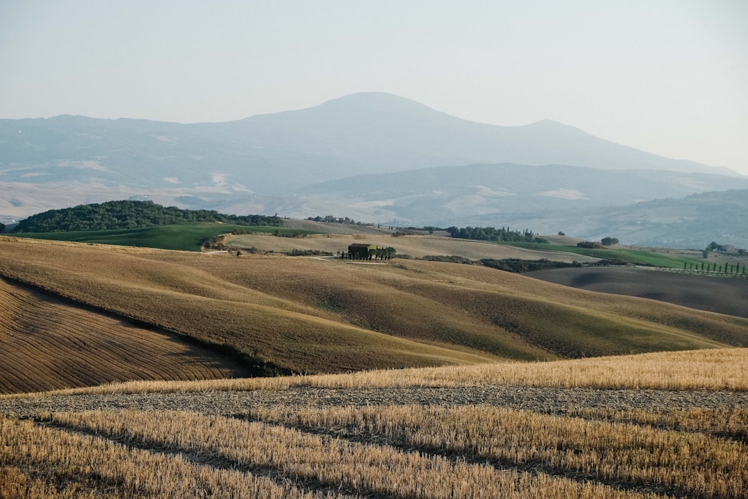 Land