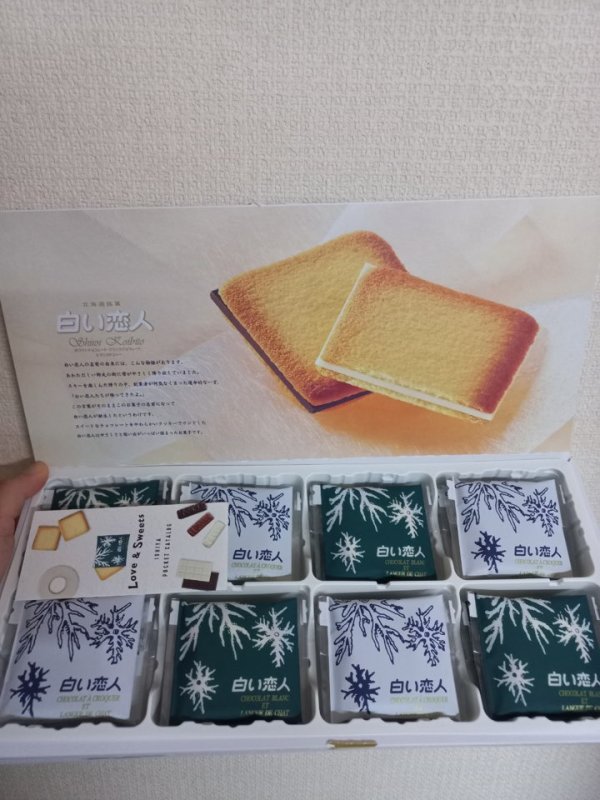 시로이 코이비토 24pcs