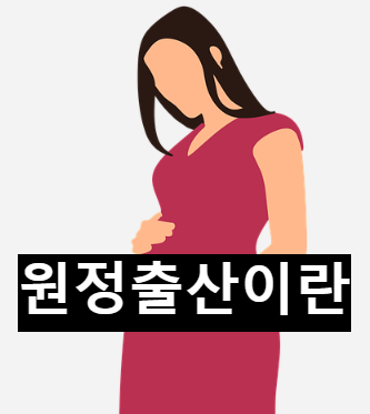  병역기피를 위한 원정출산이 가능한 이유