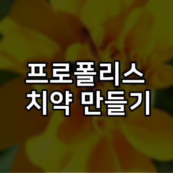  프로폴리스 치약 만들기 가성비 굿!!
