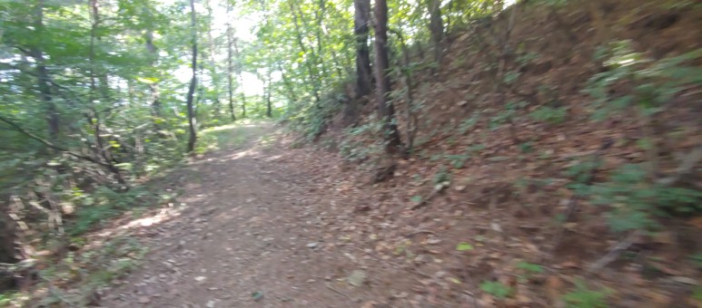 제진검문소 - 통일전망대 출입신고소 해파랑길 50코스 : 7