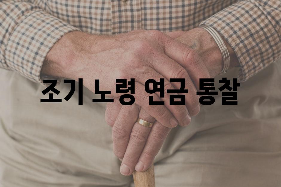 조기 노령 연금 통찰