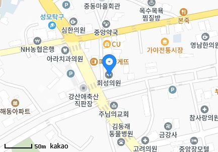 경상남도 함안군 가야읍 일요일 진료 휴일 문 여는 병원