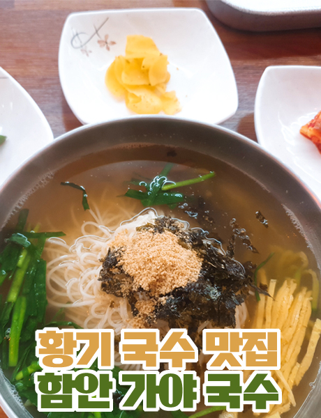  국물이 깔끔하고 개운한 국수맛집 함안 가야국수