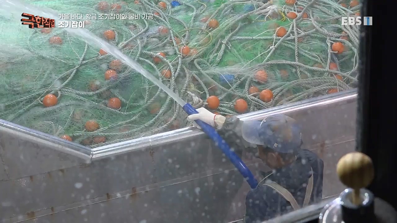 TV - 교육의 중심 EBS가을 바다 황금 조기잡이와 굴비 가공.mp4_20221122_195429.803.jpg