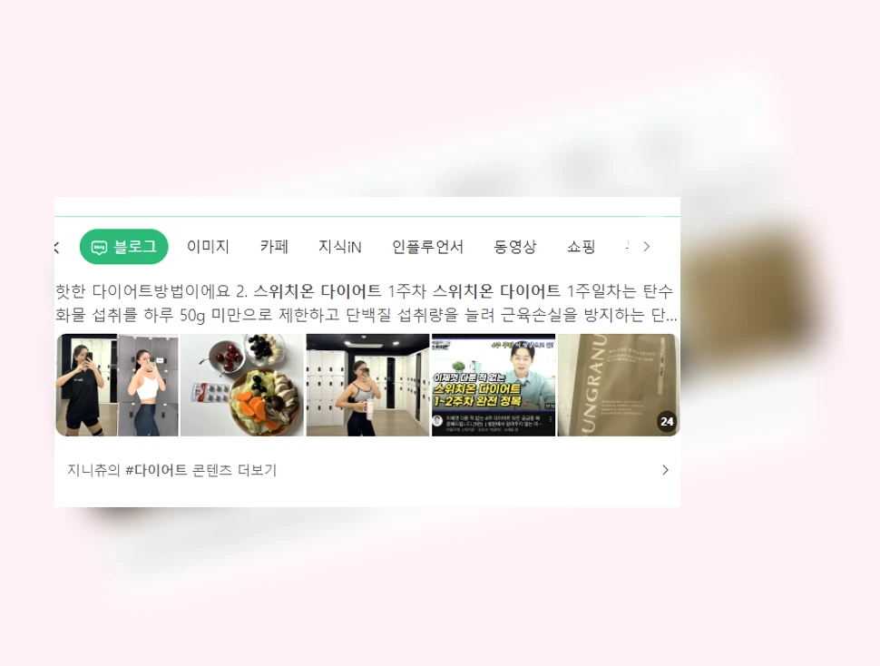 스위치온 다이어트_1_subsection