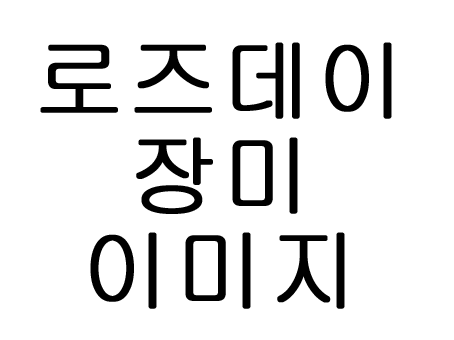  5월 14일 로즈데이 유래 장미 이미지