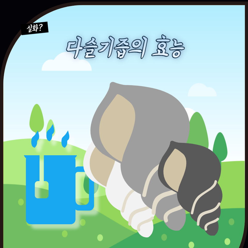  다슬기즙 효능과 건강에 대한 긍정적 영향 알아보기