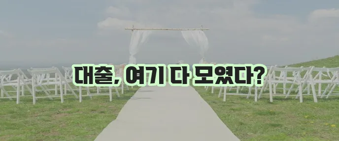 전국 개인/신용/추가 대출업체 한곳에 모아보기