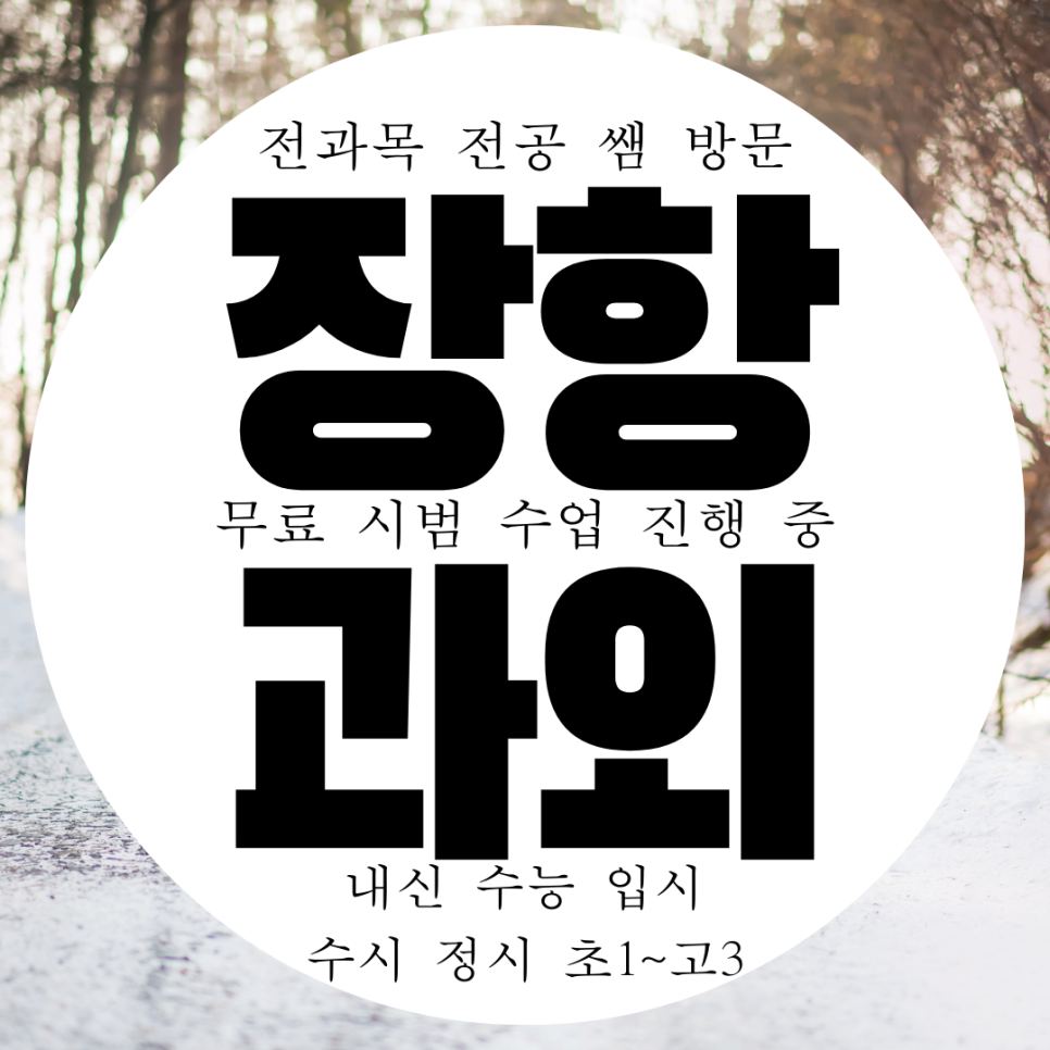  일산동구 장항동 영어과외 고등 정발산동 수학과외 중등 역사 한국사