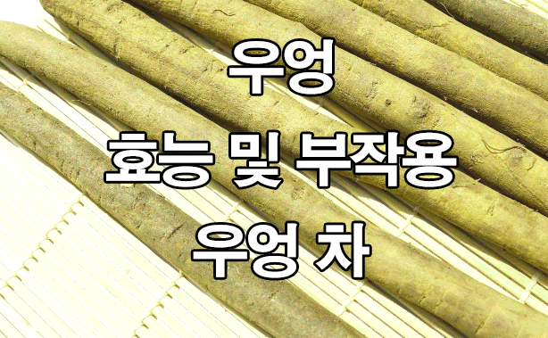  우엉 효능 및 부작용 : 우엉차
