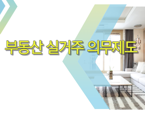  부동산 실거주 의무제도