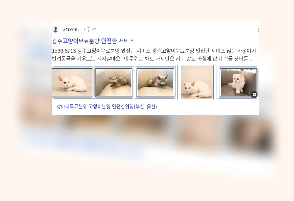 고양이 안전_3_subsection