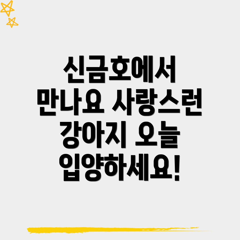 신금호역 강아지 입양