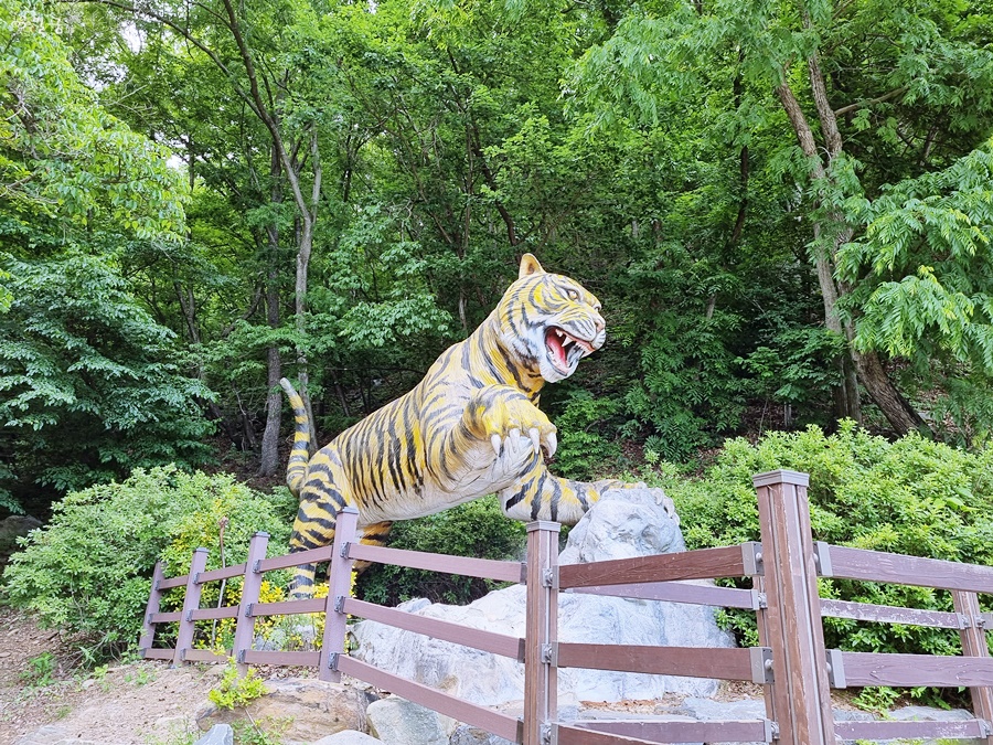 드라이브 코스와 청양농부식 탁자 충청남도 당일치기 8