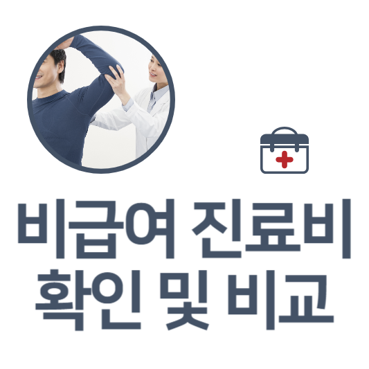  비급여란 진료비 확인 비교 및 절약꿀팁