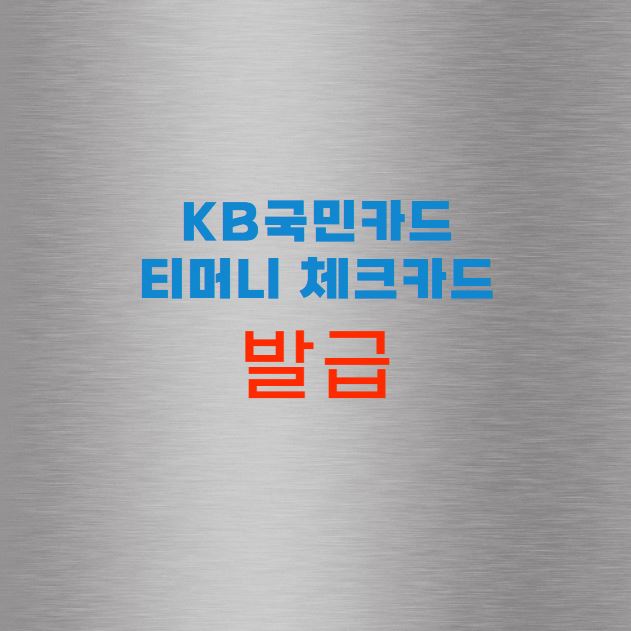 KB국민카드 티머니 체크카드