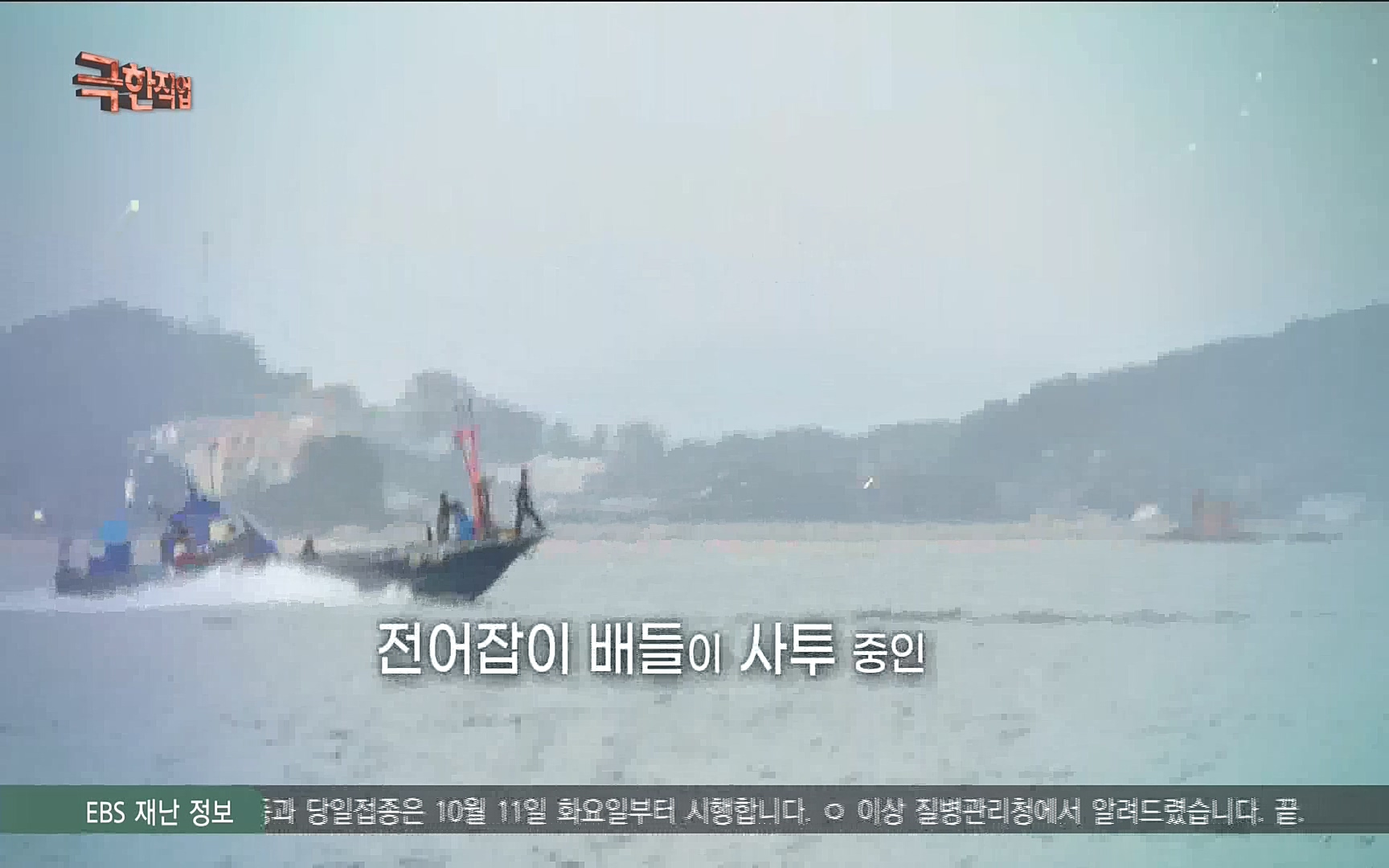 송이버섯과 전어 221008.mp4_20221012_213433.958.jpg