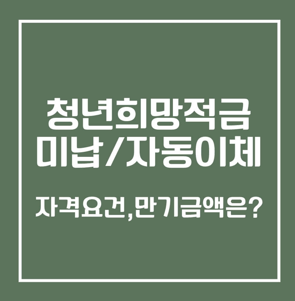청년희망적금 미납/자동이체 문구의 표지