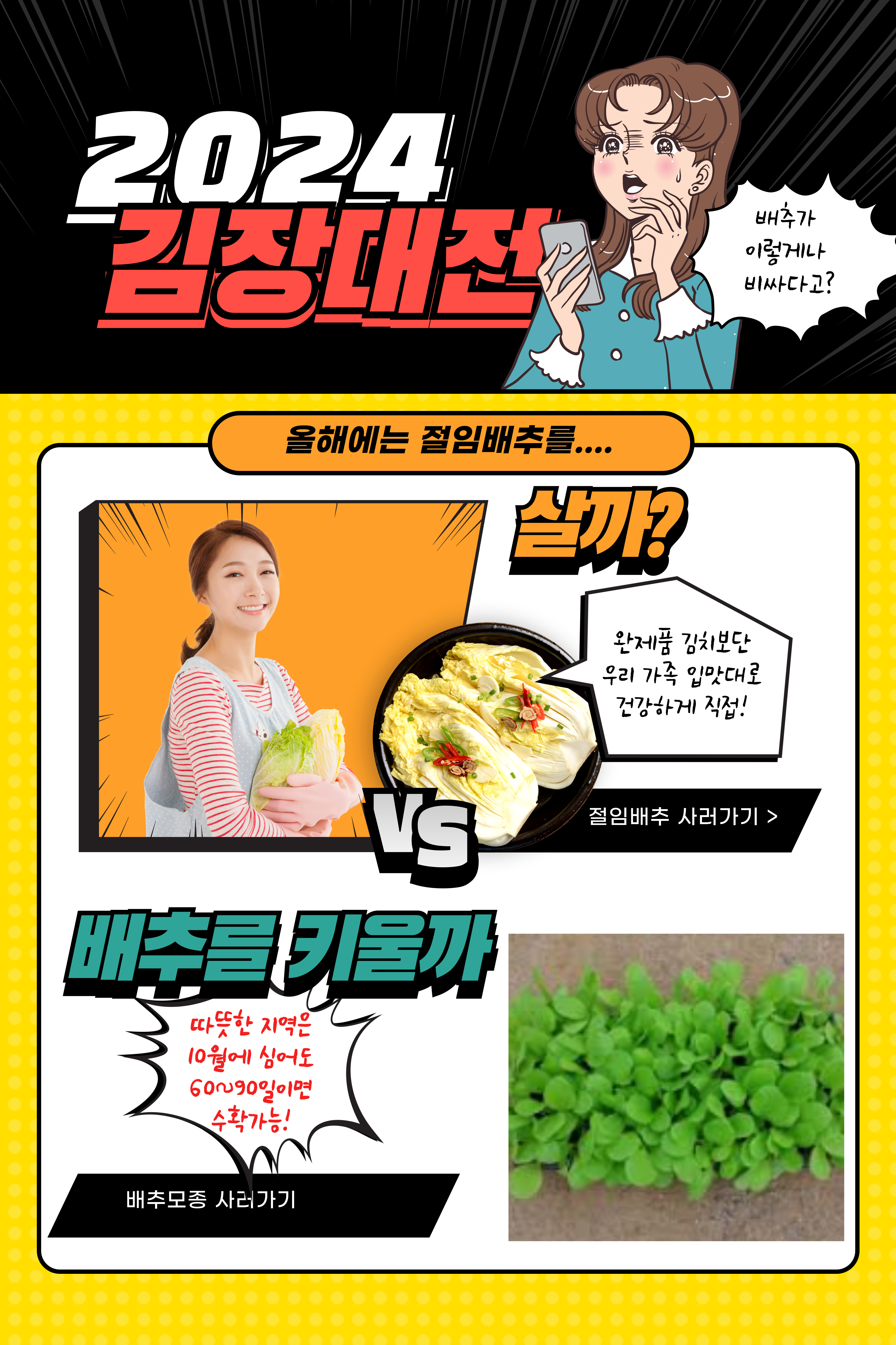 겨울 배추 농사
