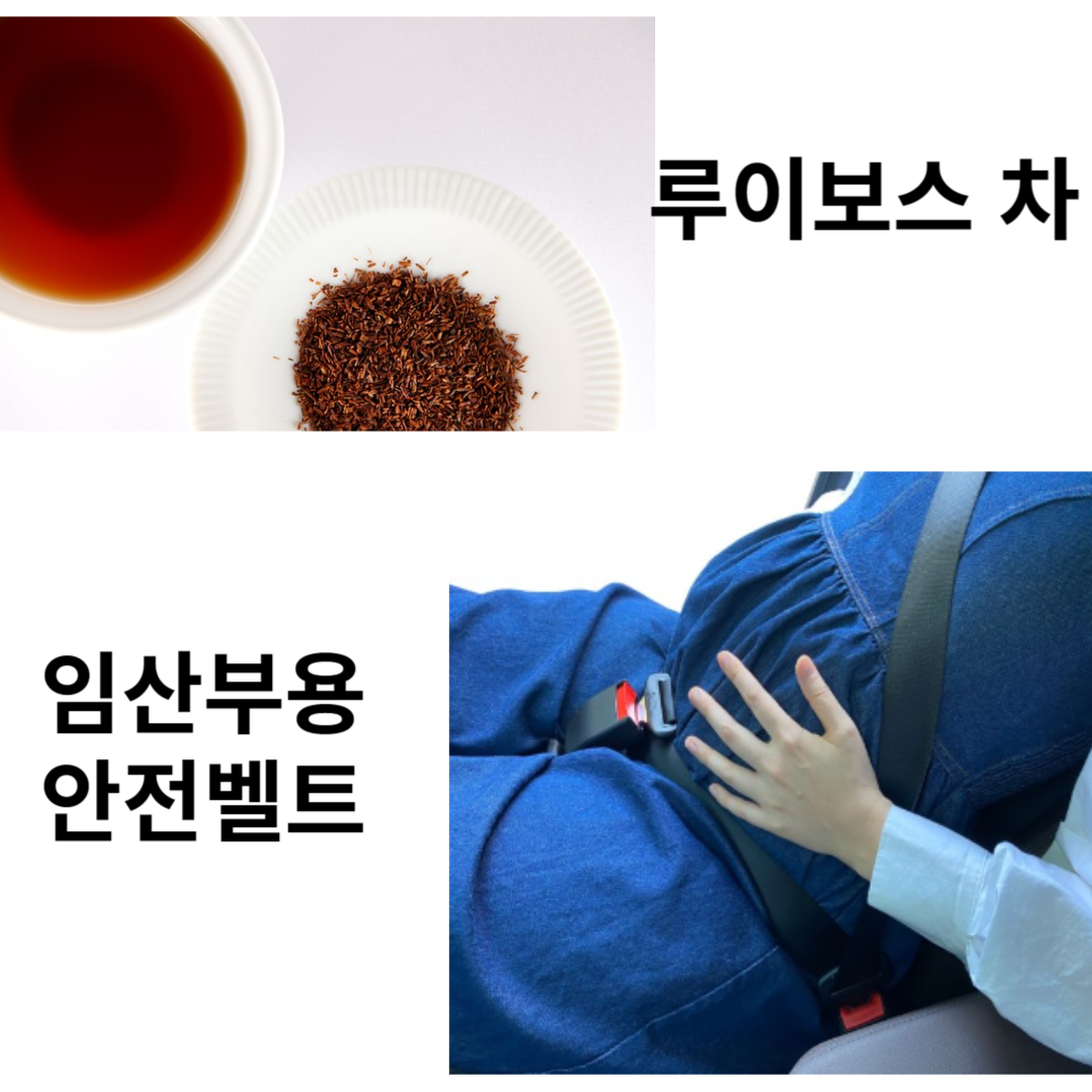 루이보스차&#44;임산부용 안전벨트사진