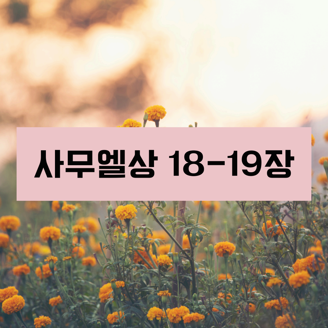 사무엘상18_19장