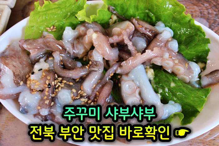  TJB 생방송투데이 주꾸미 샤부샤부 부안 곰소 맛집 190회 네모세모 얼음꽃물회, 도다리 회정식 가격 위치 어디