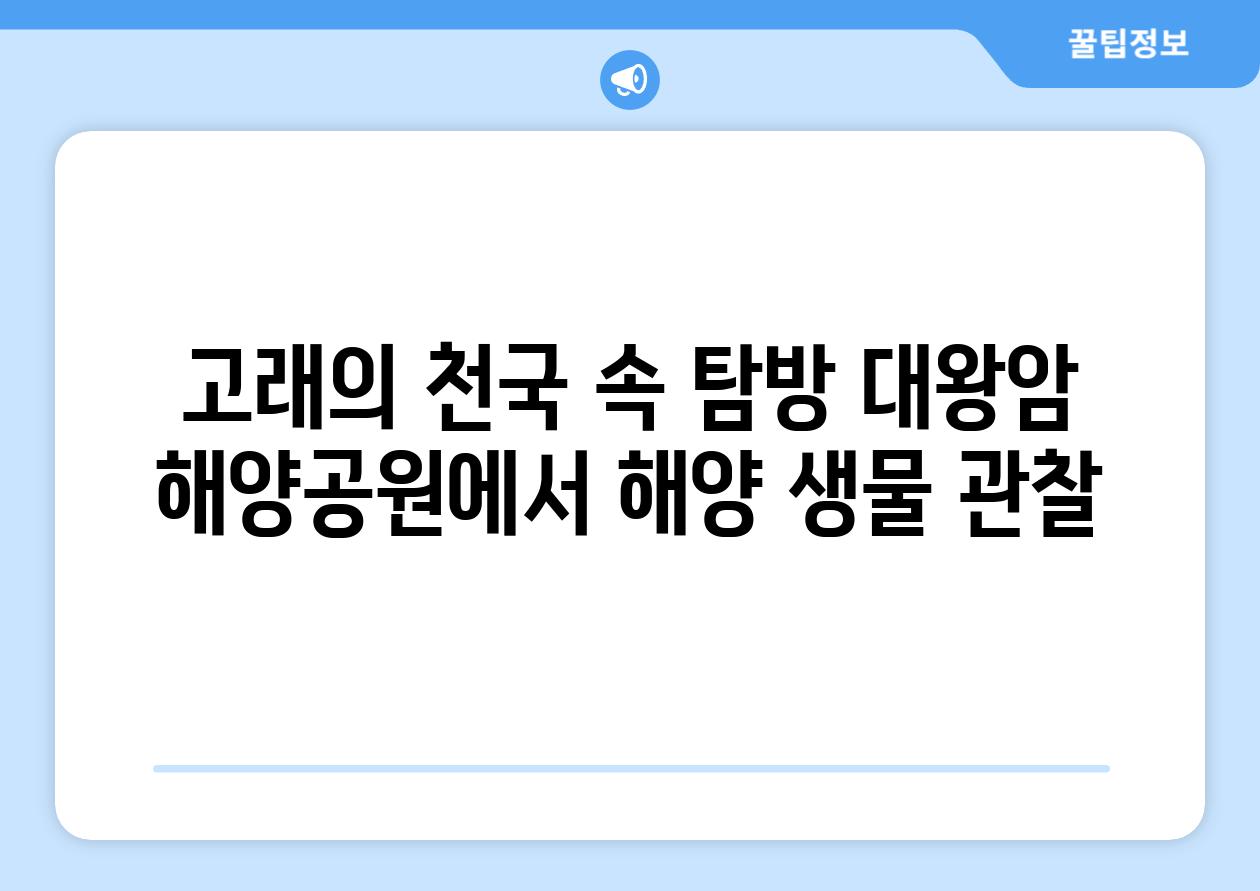 고래의 천국 속 탐방 대왕암 해양공원에서 해양 생물 관찰