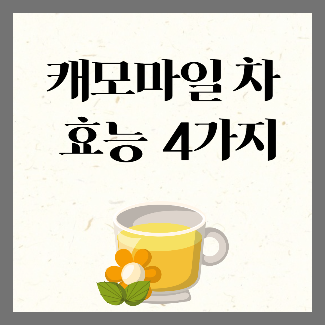 캐모마일 효능