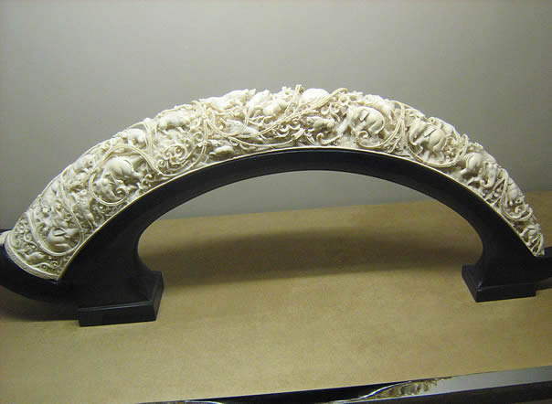  Ivory