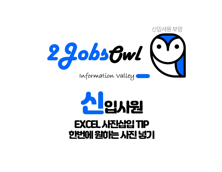 엑셀 사진삽입 - 이미지 삽입 간단한 방법