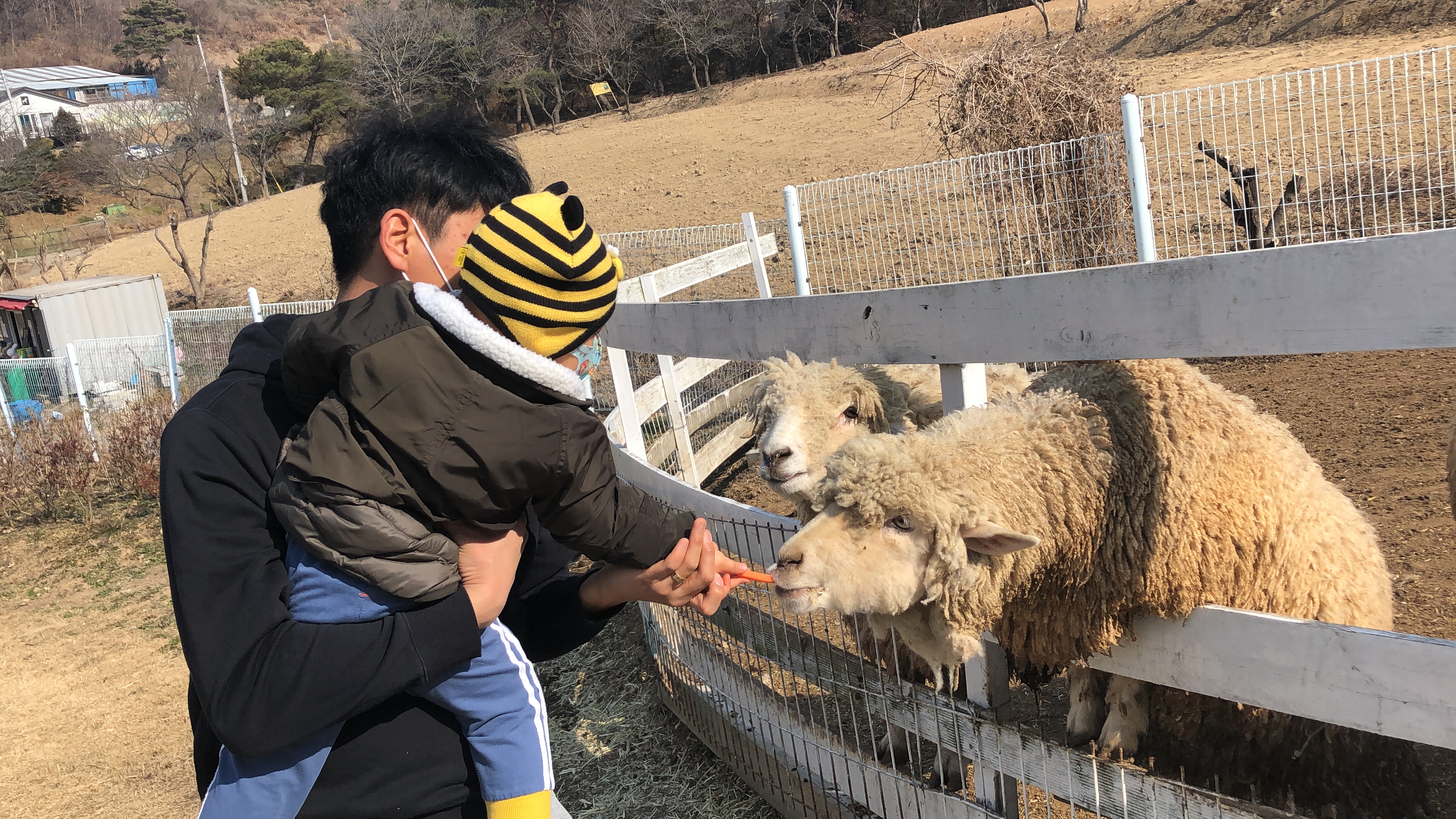 송산 승마스쿨 양떼 목장