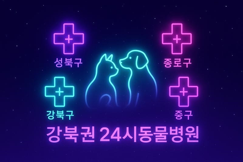 강북권 24시동물병원 완벽가이드 - 성북구·강북구·종로구·중구 응급진료 포함