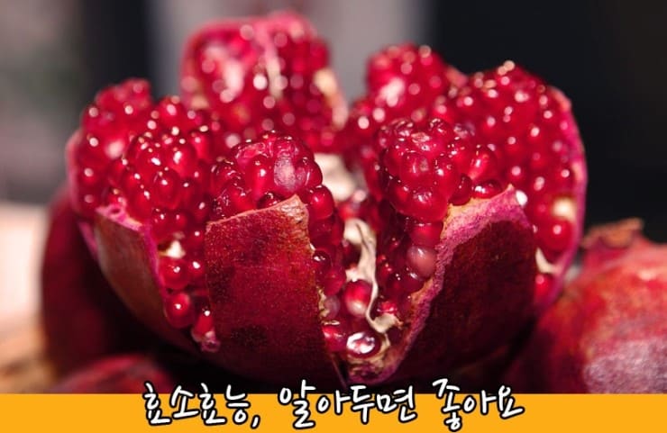 잘익은-석류